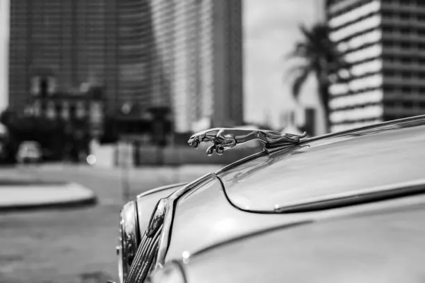 20Bets Kazino Android/iOS Lietotne